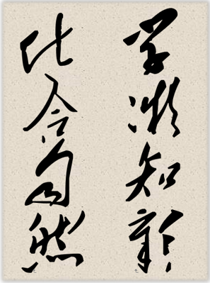 jk黑色丝袜美女被视频网站